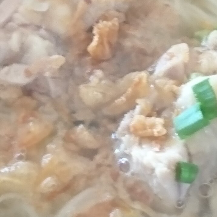 素麺であっさりフォー風の鶏麺